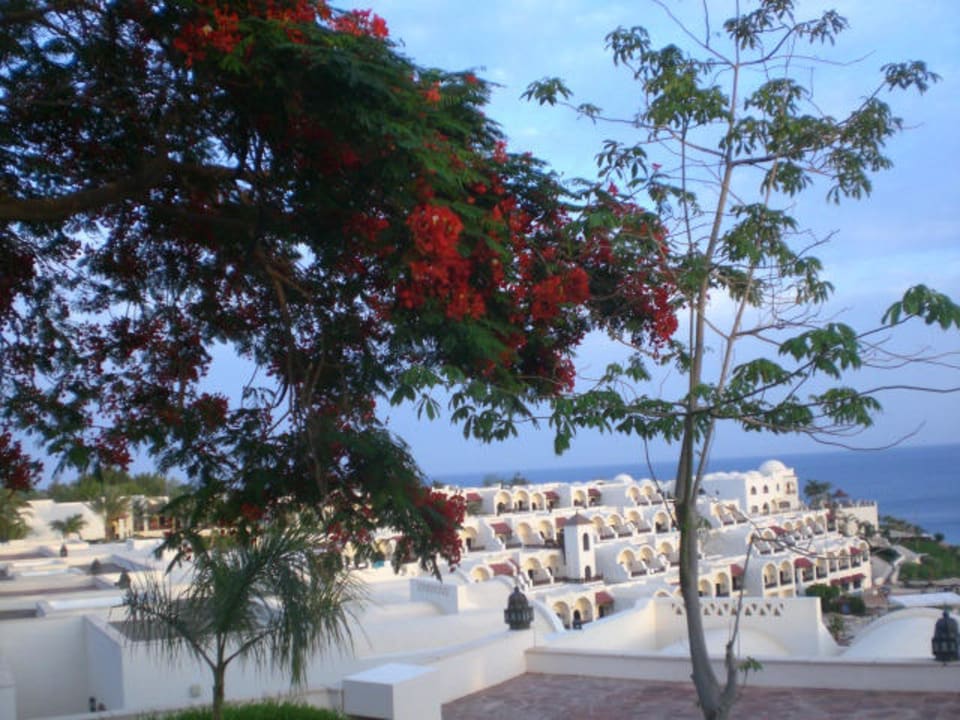 Hotel Sofitel Coralia Sharm el Sheikh Mövenpick Resort Sharm el Sheikh