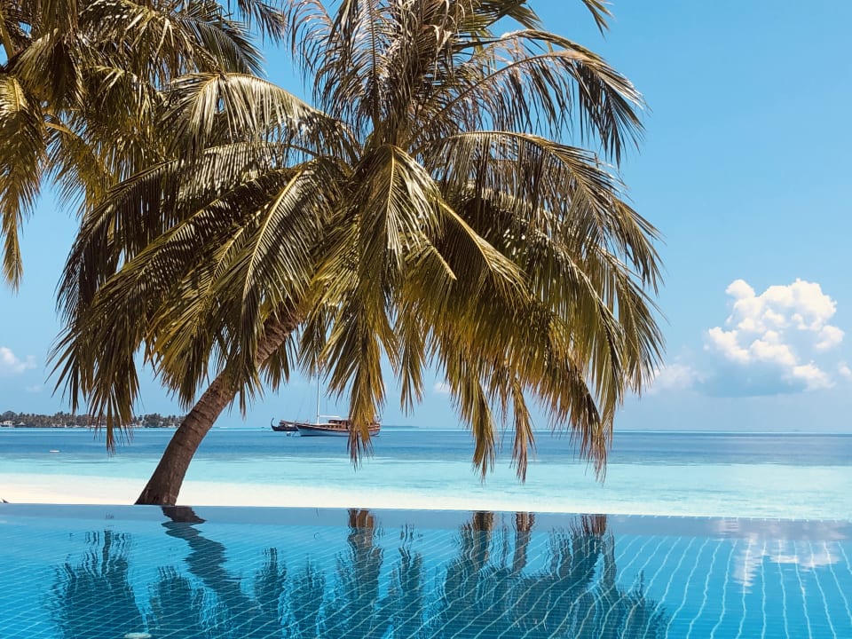 Pool Vilamendhoo Island Resort & Spa