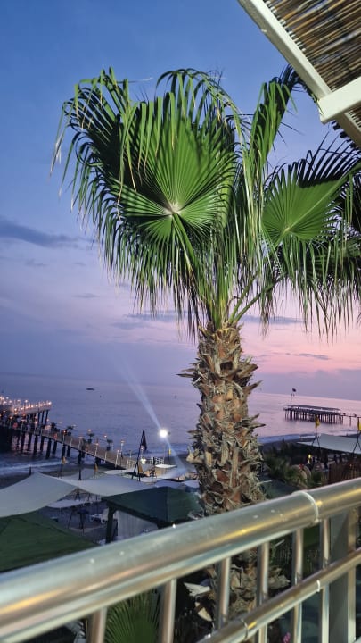 Ausblick Hotel Botanik Platinum