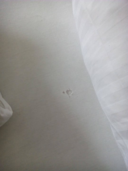 Bettlaken Ferienhotel Alpenhof Aurach