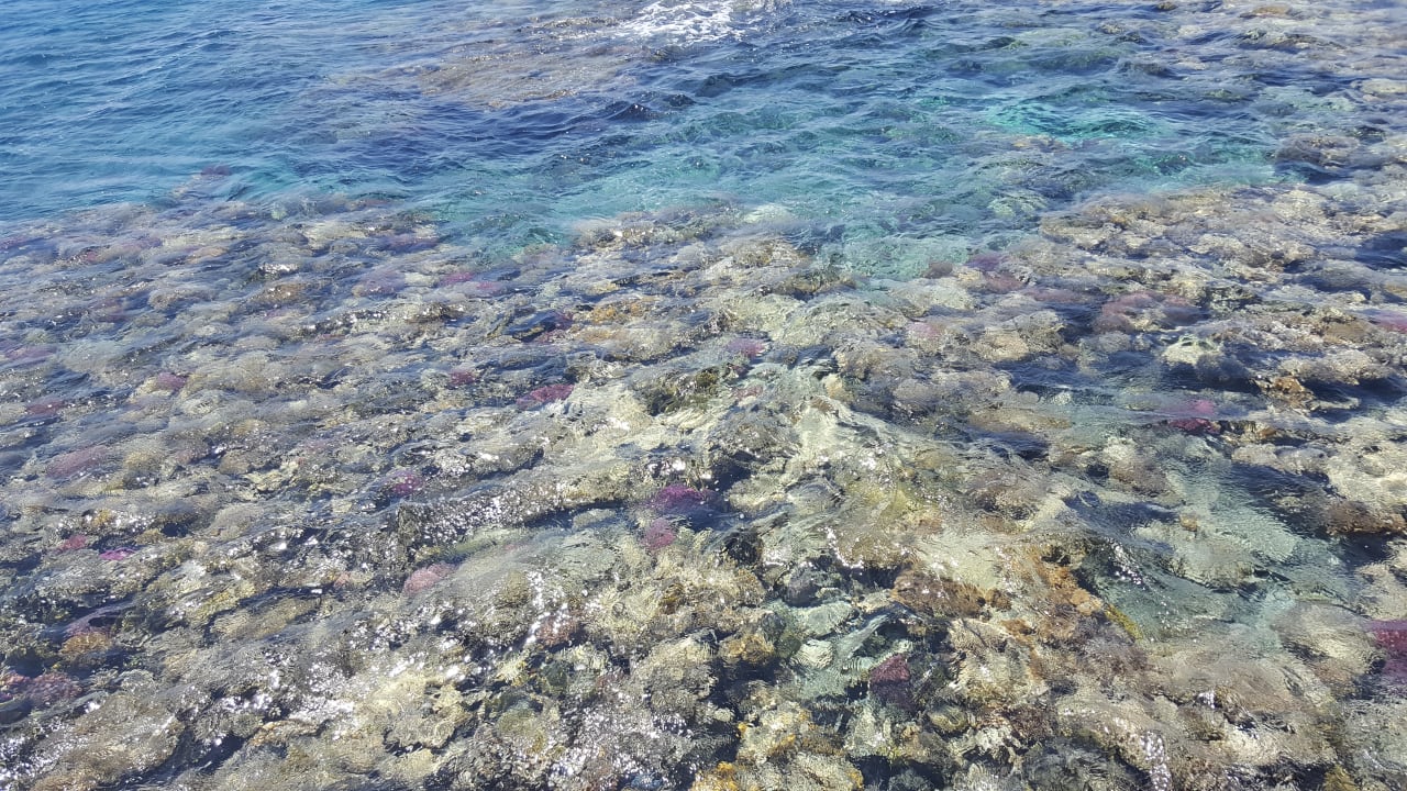 Strand The Breakers Diving & Surfing Lodge