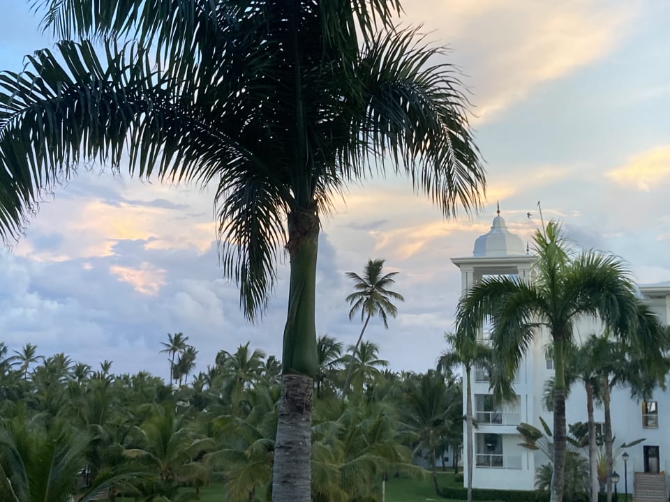 Ausblick Hotel Riu Palace Punta Cana