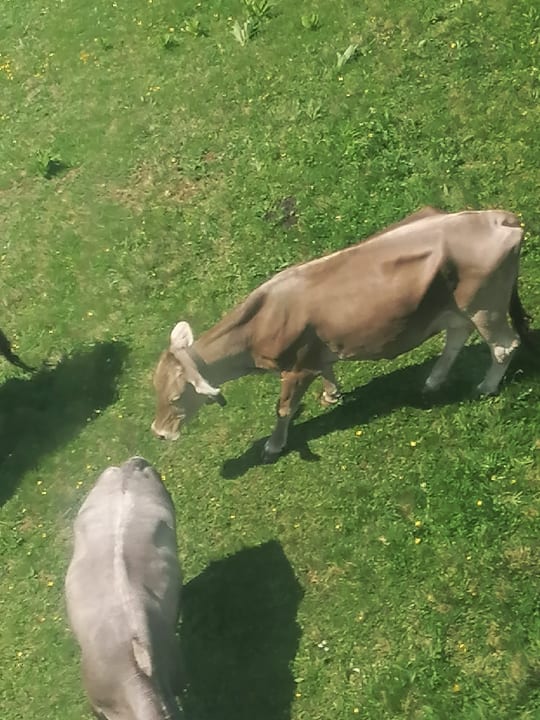 Sonstiges Kinderhotel Laderhof