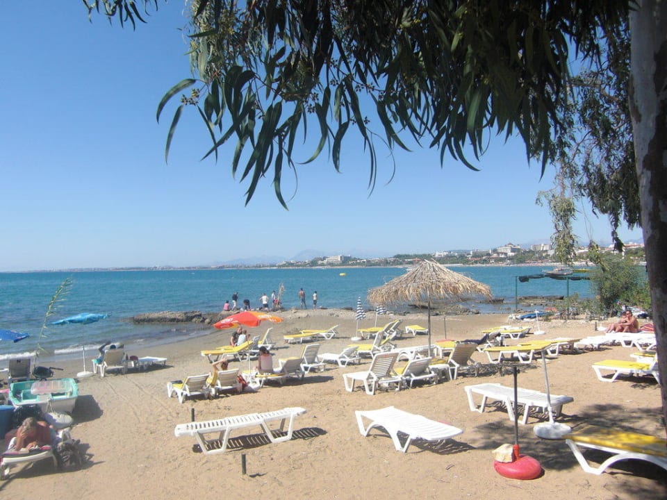 Ein wenig steinig, aber sauber Hotel Neptün/Neptun