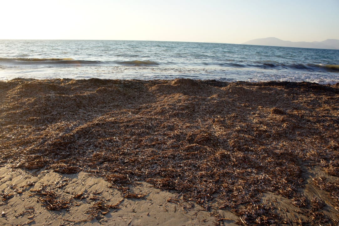 Glony Hotel Kouros Palace