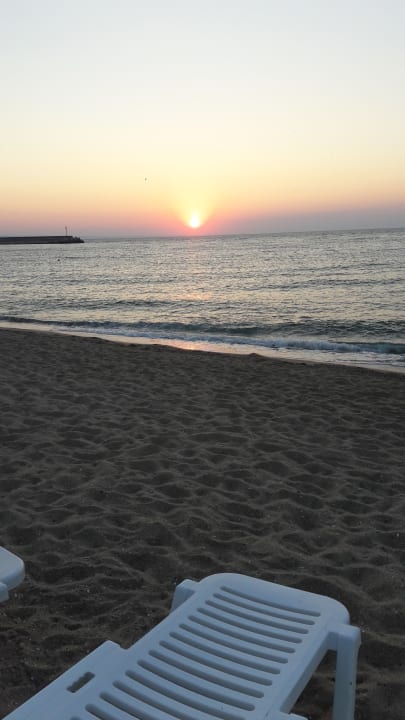 Strand Sentido Marea