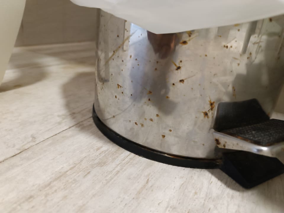 Zimmer Alcudia Garden Aparthotel