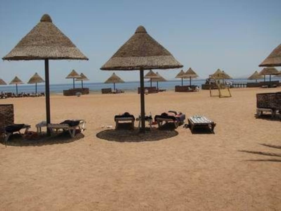 Plaża Parrotel Beach Resort