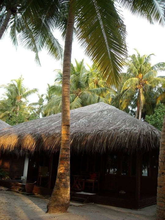 Doppelbungalow Filitheyo Island Resort