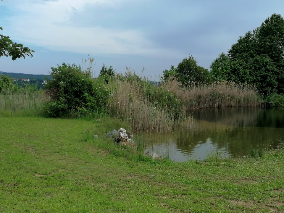 Gartenanlage Thermencamping Oberschützen