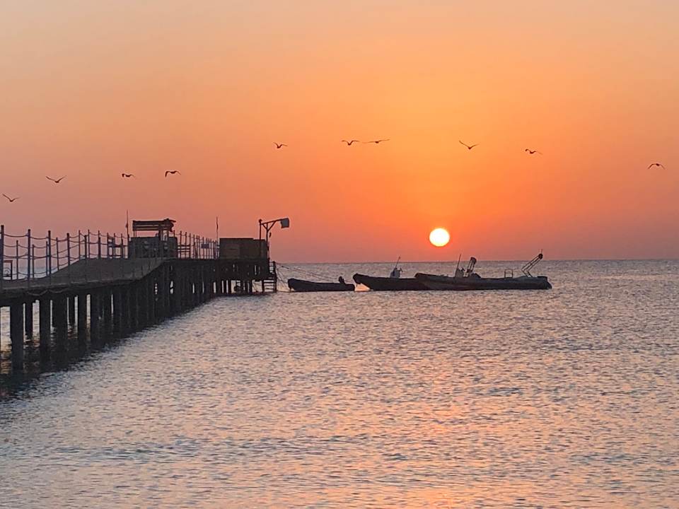 Strand Hotel Gorgonia Beach Resort