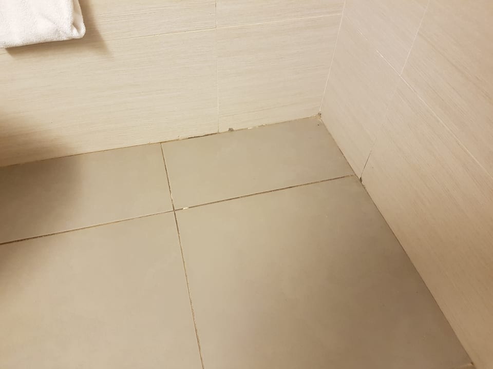 Zimmer blau punta reina