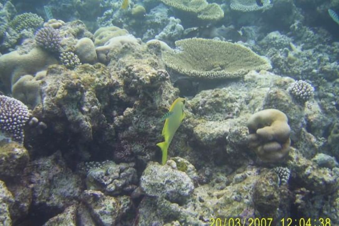 Putzstation Eri Maldives