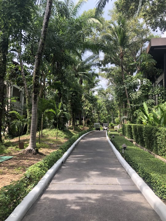 Gartenanlage Dusit Thani Krabi Beach Resort