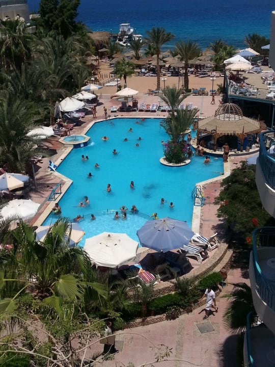 Bella Vista basen ciasny Bella Vista Resort Hurghada