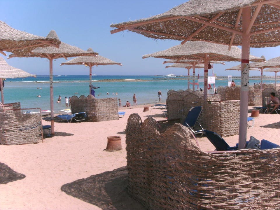 Liegen mit Schirm Jaz Makadi Oasis Resort