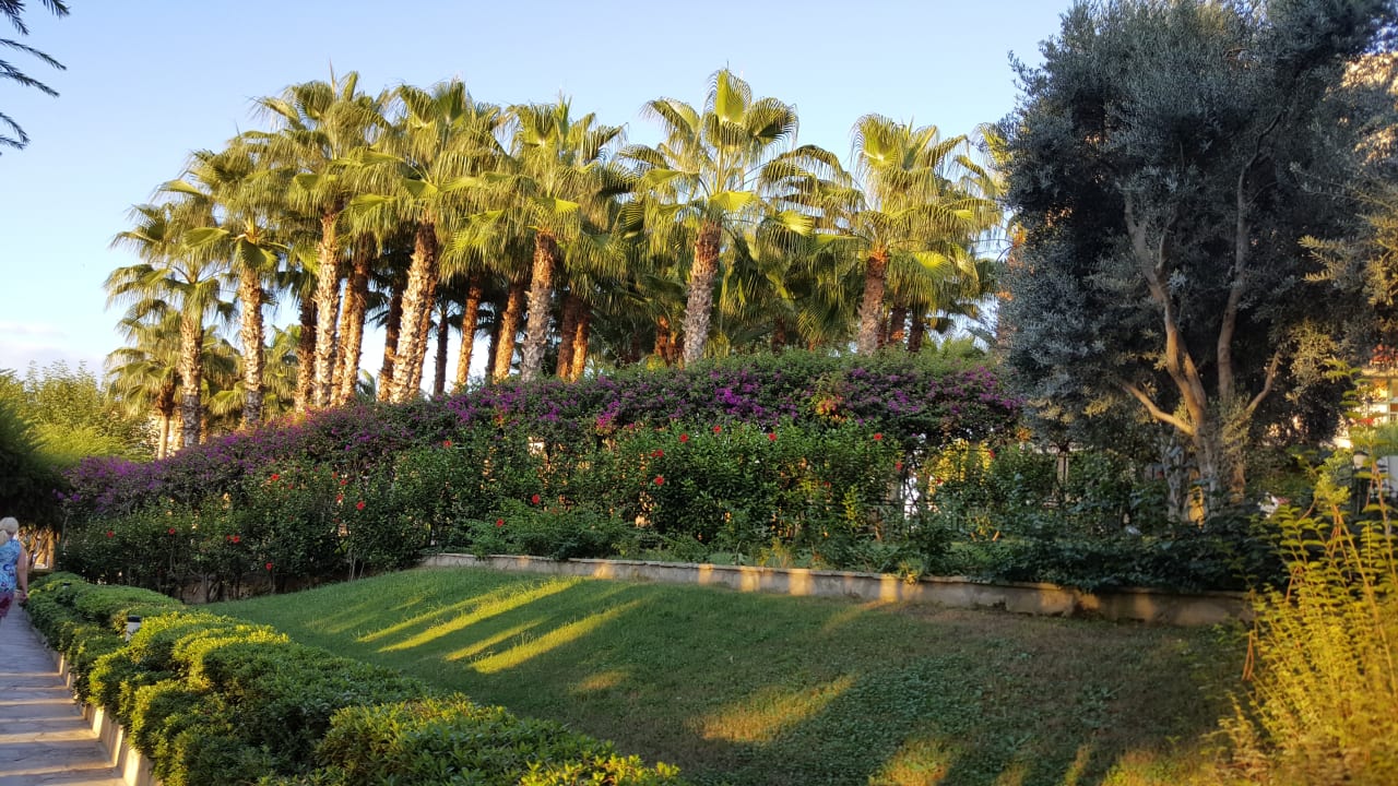 Gartenanlage Miramare Queen Hotel