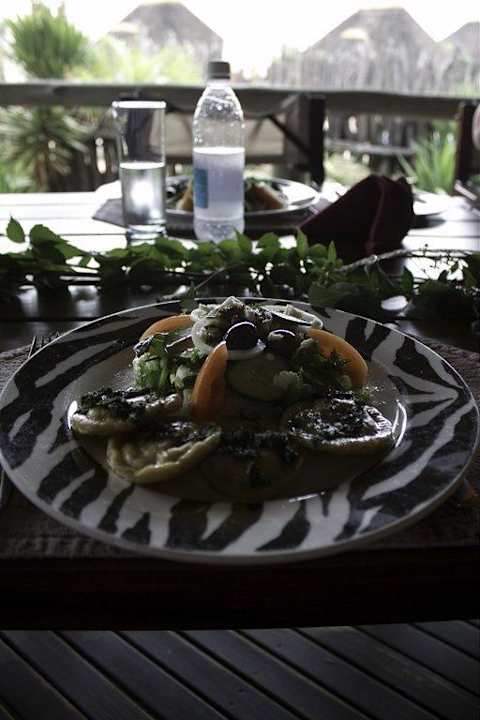 Mittagessen vegetarisch Hotel Frans Indongo Lodge