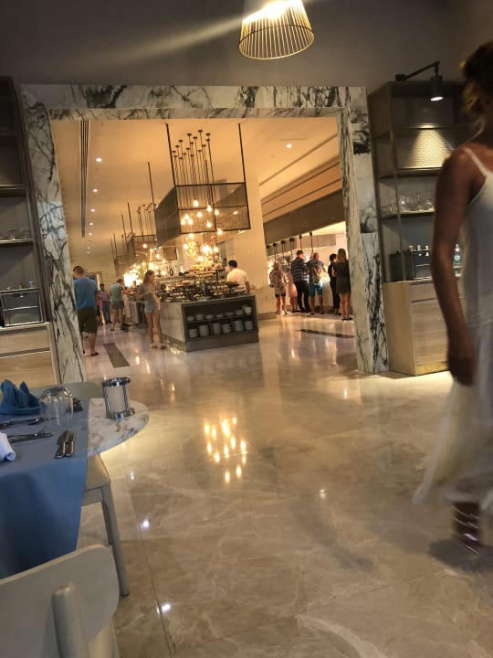 Gastro Acanthus Cennet Barut Collection