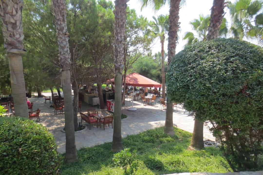 Garten Arum Barut Collection