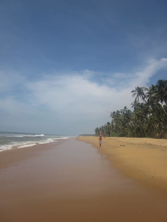 So schön! Roman Life Ayurveda Beach Resort