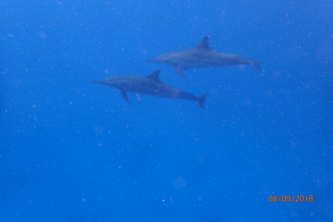 Sport & Freizeit Akassia Swiss Resort