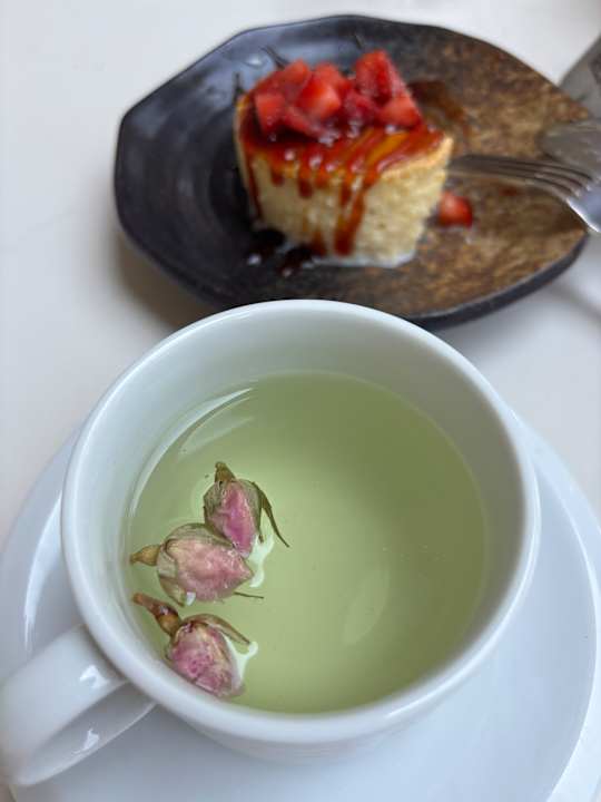 Gastro Rixos Park Belek - The Land of Legends Access