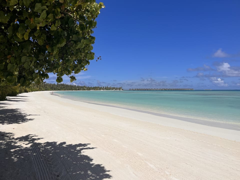 Strand Kandima Maldives
