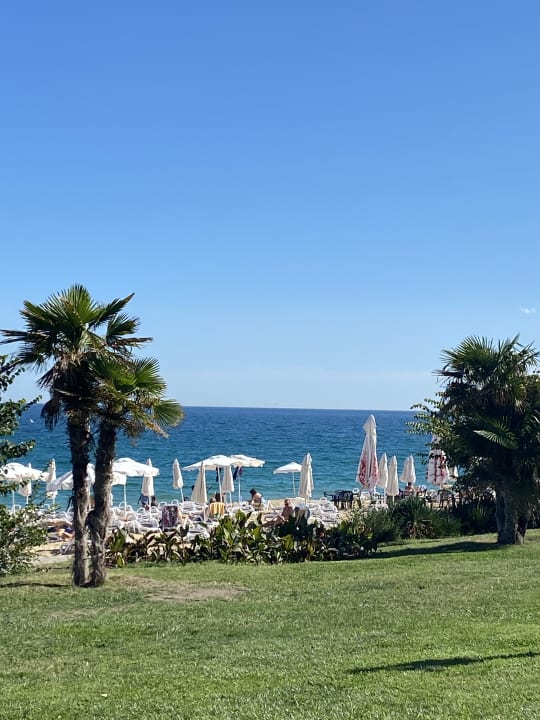 Strand GRIFID Vistamar