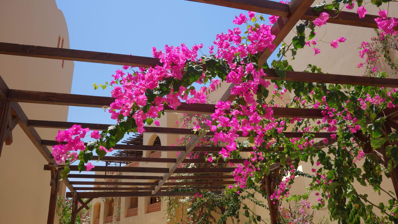 Weg zu unserem Zimmer Steigenberger Coraya Beach - Adults only