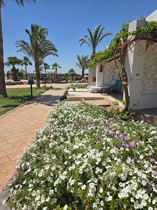 Außenansicht Shams Safaga Resort