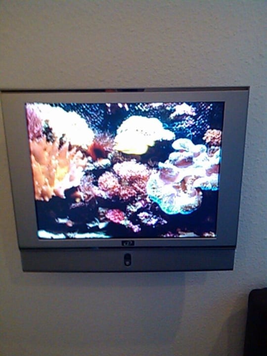 Flat-TV mit Aquarium Chillout-Kanal Motel One Wiesbaden