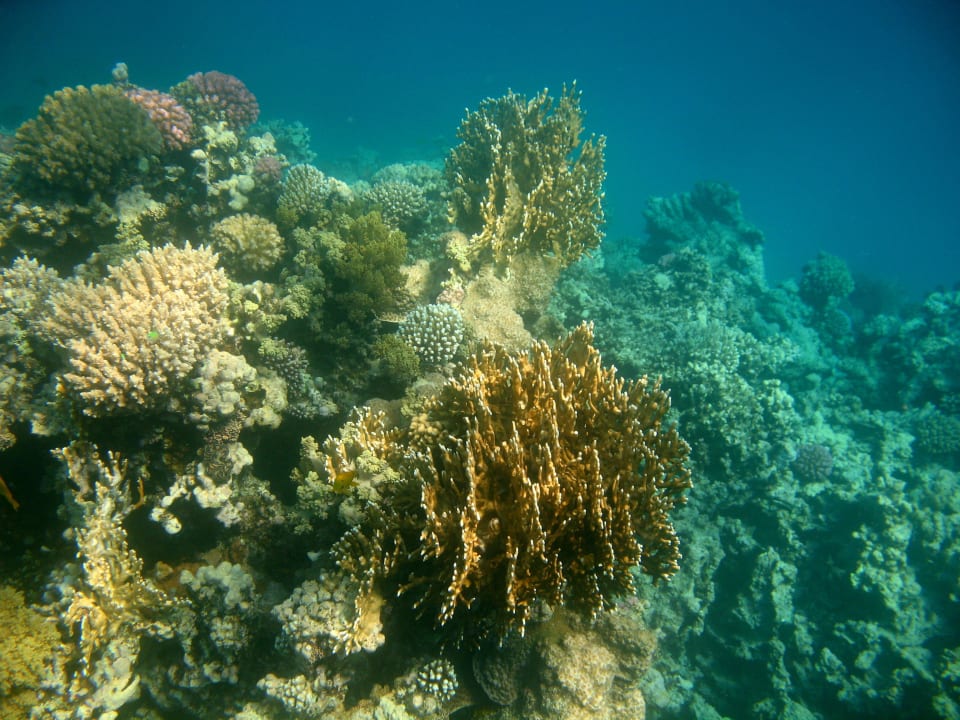 65 Stella Beach Resort & Spa Makadi Bay