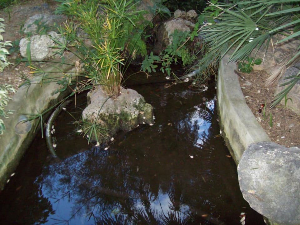 Kleiner Teich Hotel Best Siroco