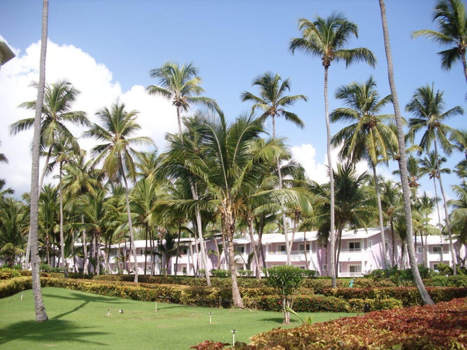 Die Anlage Hotel Riu Bambu