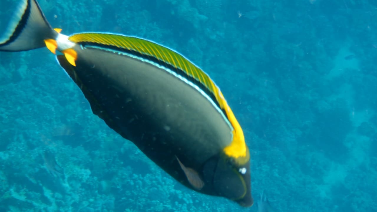 Sport & Freizeit Casa Mare Resort