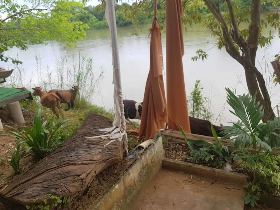 Ausblick The Antique Riverside Resort