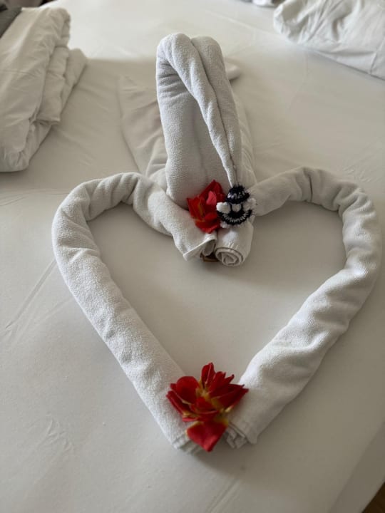 Zimmer Calimera Hane Garden