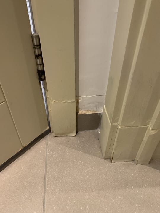 Zimmer Lara Barut Collection