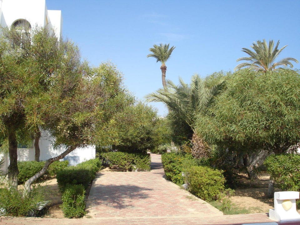 Hotel Calimera Yati Beach Calimera Yati Beach