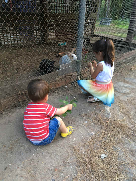 Gartenanlage Balmy Foresta