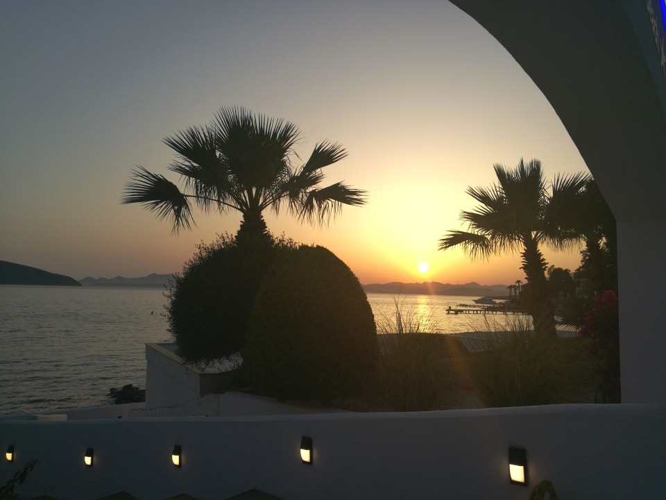Ausblick TUI MAGIC LIFE Bodrum - Adult Only (16+)