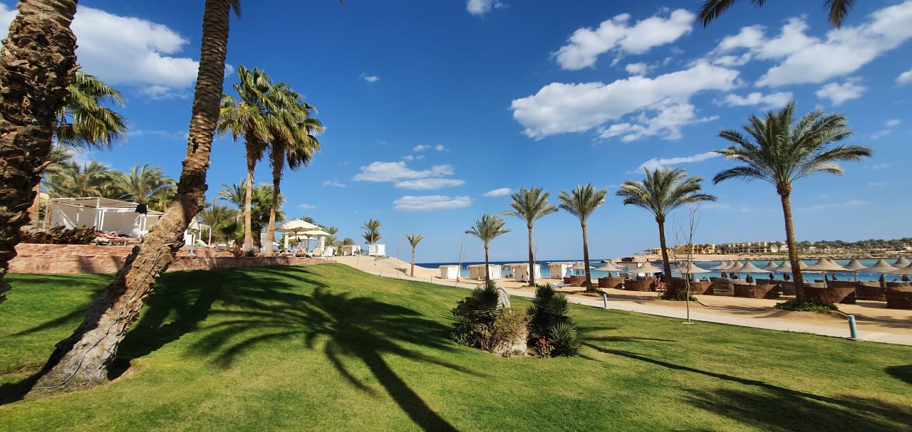 Garten Steigenberger Coraya Beach - Adults only