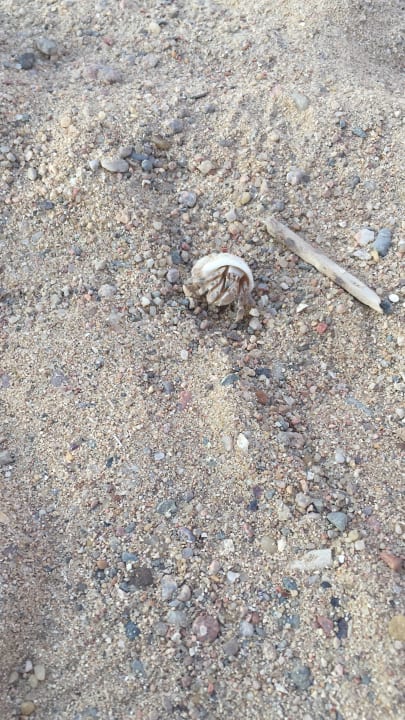 Strand Three Corners Sea Beach Resort