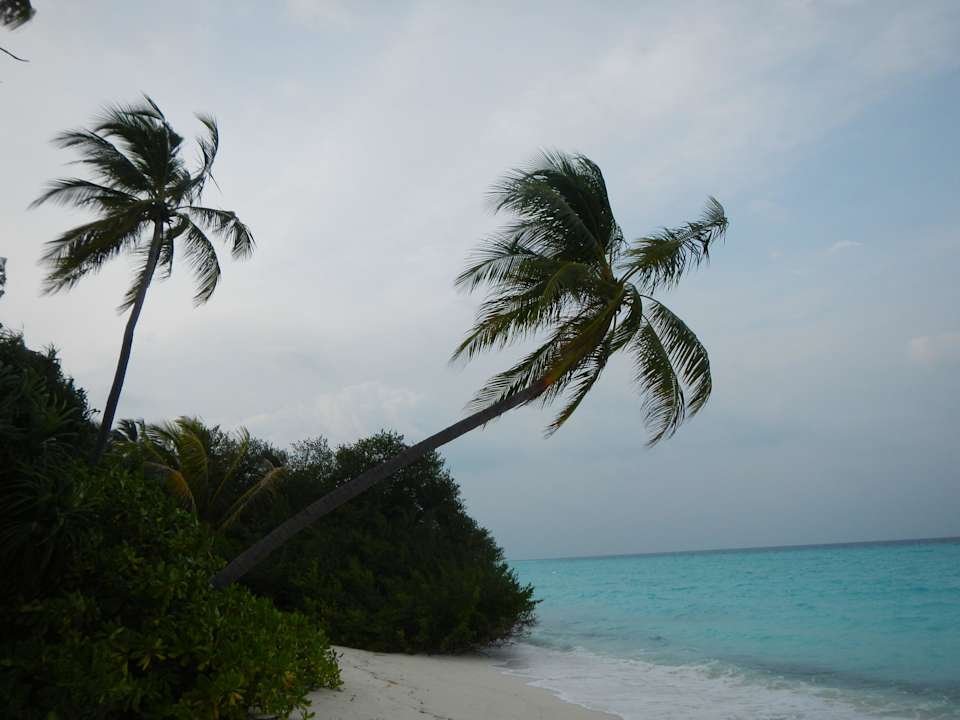 Windig Kuramathi Maldives