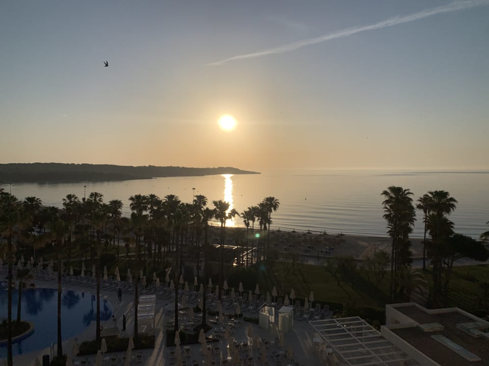 Ausblick Hipotels Mediterraneo