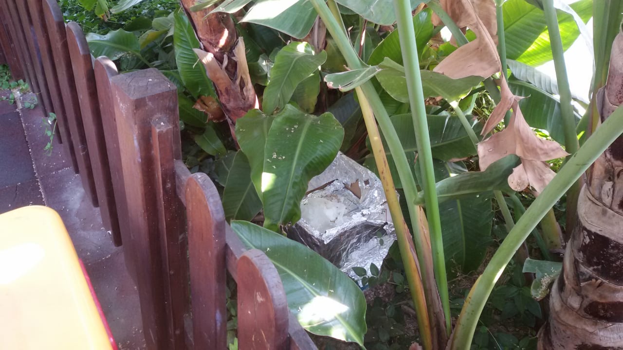 Gartenanlage Sunis Evren Beach Resort Hotel & Spa