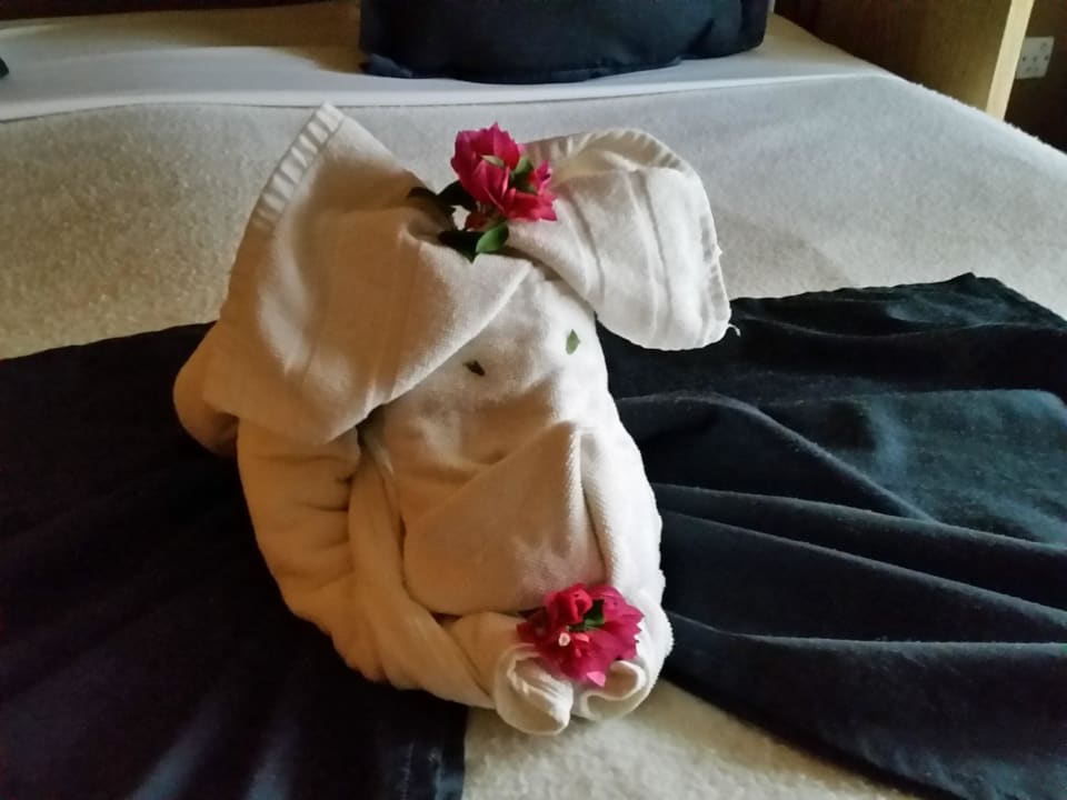 Heute eine andere Deko Veranda Pointe aux Biches Hotel