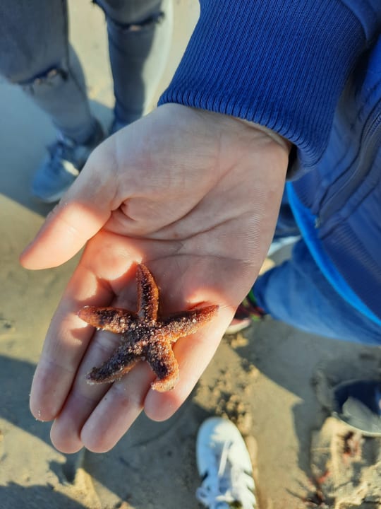 Strand Ferienwohnungen Ferienpark Weissenhäuser Strand