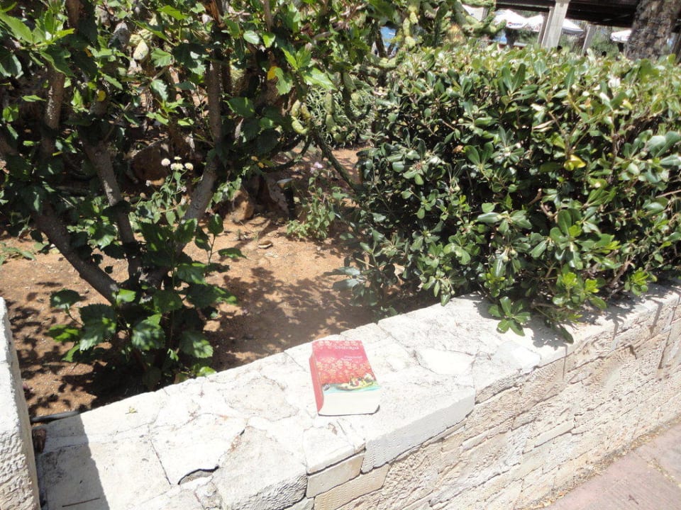 Ogród allsun Hotel Malia Beach